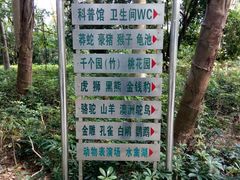 -广东茂名森林公园