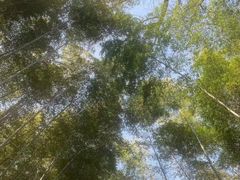 -敬亭山风景名胜区