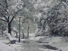 -浙江农林大学(东湖校区)