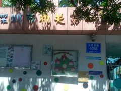 -深圳市第一幼儿园