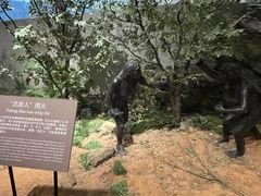-北京周口店北京人遗址博物馆