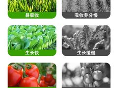 -锦江之星(苏州吴中万达广场友联地铁站店)