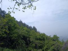 -惠山国家森林公园