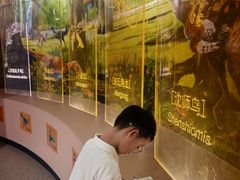 -辽宁古生物博物馆