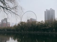 -沈阳南湖公园