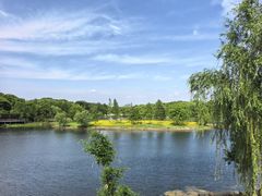-贡湖湾湿地公园