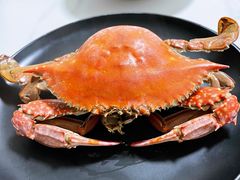 -南山酒肆(南山董事绘店)