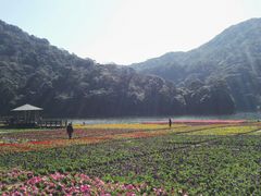 景点-广州市石门国家森林公园