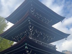 -医王山·飞騨国分寺