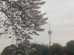 -红星桥(地铁站)