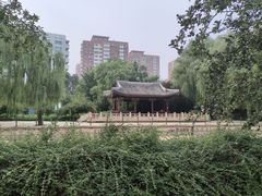 -元大都城垣遗址公园