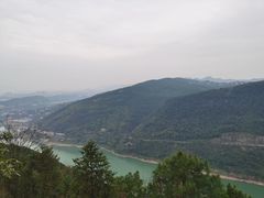 -铁山坪森林公园