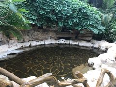-龙达温泉生态城