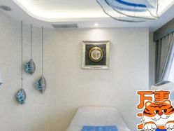 -健身堂科技美肌SPA