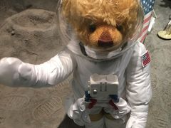 -济州岛泰迪熊博物馆