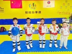 -哈喽实战跆拳道·跳绳·体能(慈云寺馆)