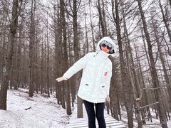 -苏木山森林公园