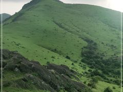 -大姆山草场