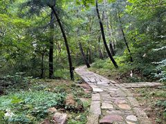 -无染寺