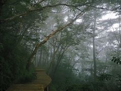 -白草畔自然风景区