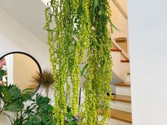 -森野花艺培训·企业团建活动沙龙