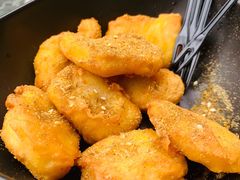 -柴犬高等学院·狗咖·柴犬售卖·宠物训练