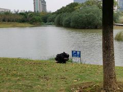 -艾溪湖湿地公园