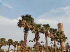 -亚龙湾中心广场