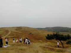 -恋山坝上草原