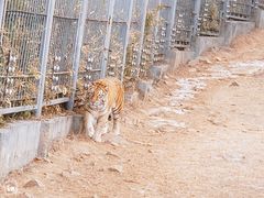 -济南野生动物世界