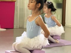 -北京红舞鞋少儿形体舞蹈教育(高新融侨城校区)