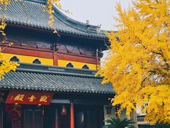 -美味斋(西北街店)