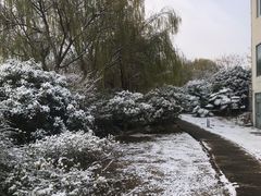 -仙林宾馆-餐厅