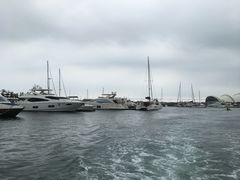 -重庆海昌加勒比海水世界