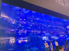 -成都浩海立方海洋公园