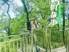 -大金鹰园