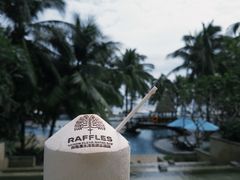 -海南清水湾莱佛士酒店