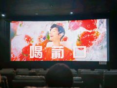 -华美影城(马栏广场店)