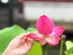 -钱王祠