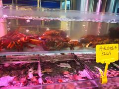 -日进一片海.生腌海鲜火锅.宵夜烧烤(三里屯总店)