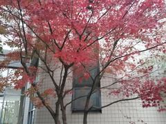 -江南大学(蠡湖校区)