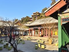 -宫事颐庭·老佛爷贵寿下午茶(颐和园店)