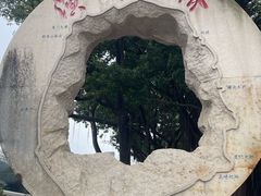-演武大桥观景平台