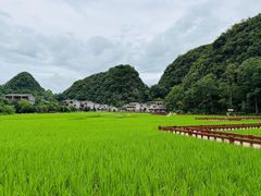 -高荡千年布依古寨旅游景区
