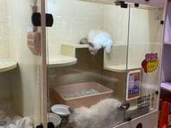-屋虎猫馆(宝安大仟里店)