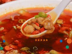 -杨氏青龙虾·羊蝎子(托乐嘉店)