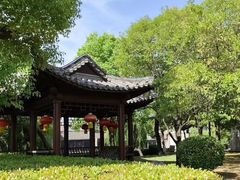 -台儿庄古城