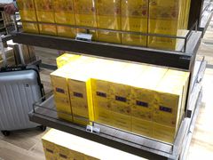 -日上免税店(三径路t3店)