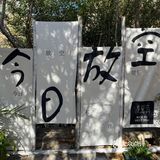 去坡峰岭的☕坡峰·咖啡沉浸赏秋