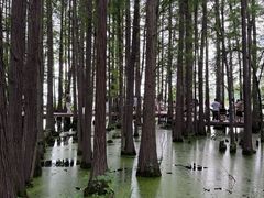 -东湖落雁景区
